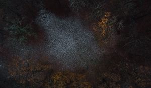 Preview wallpaper forest, glade, trees, aerial view