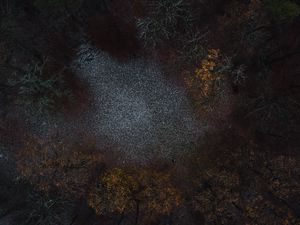 Preview wallpaper forest, glade, trees, aerial view