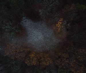 Preview wallpaper forest, glade, trees, aerial view