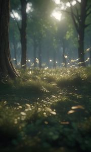 Preview wallpaper forest, grass, trees, light, nature