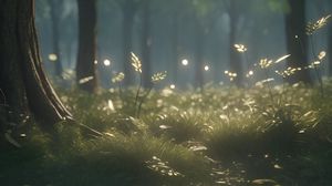 Preview wallpaper forest, grass, trees, light, nature