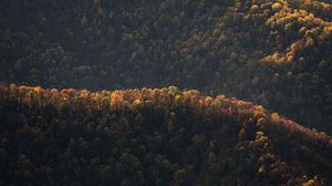 Preview wallpaper forest, hills, aerial view, nature