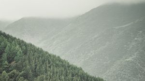 Preview wallpaper forest, hills, fog, landscape