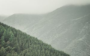 Preview wallpaper forest, hills, fog, landscape