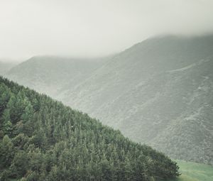 Preview wallpaper forest, hills, fog, landscape