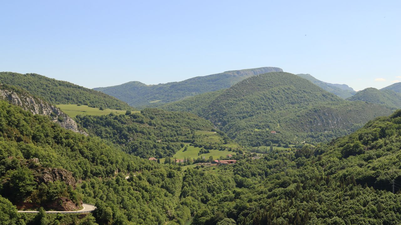 Wallpaper forest, hills, trees, sky, nature