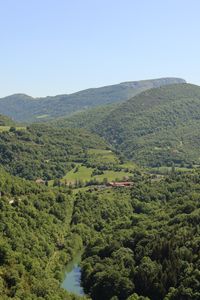 Preview wallpaper forest, hills, trees, sky, nature