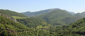 Preview wallpaper forest, hills, trees, sky, nature