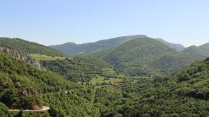 Preview wallpaper forest, hills, trees, sky, nature