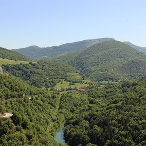 Preview wallpaper forest, hills, trees, sky, nature