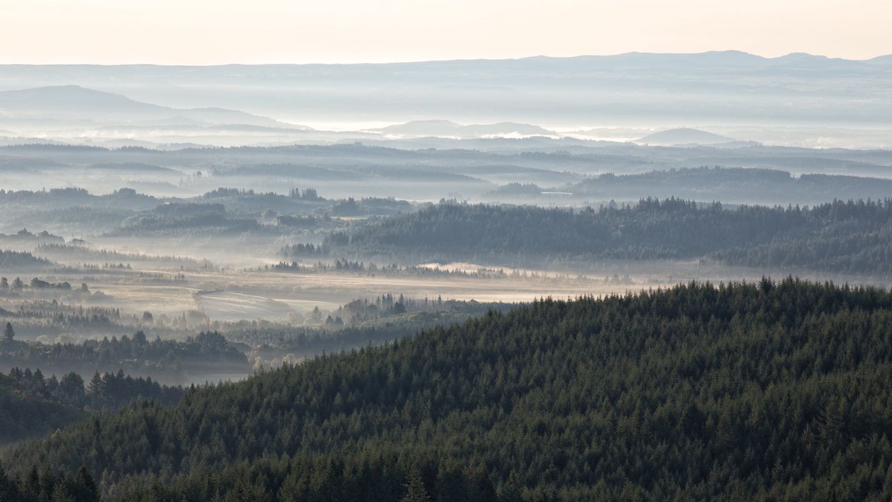 Wallpaper forest, hills, trees, fog, sky