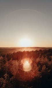 Preview wallpaper forest, horizon, sundawn, fog, sun, glare, aerial view