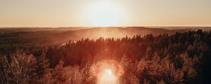 Preview wallpaper forest, horizon, sundawn, fog, sun, glare, aerial view