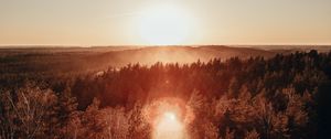 Preview wallpaper forest, horizon, sundawn, fog, sun, glare, aerial view