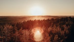 Preview wallpaper forest, horizon, sundawn, fog, sun, glare, aerial view