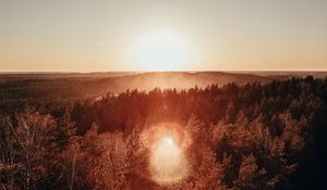 Preview wallpaper forest, horizon, sundawn, fog, sun, glare, aerial view