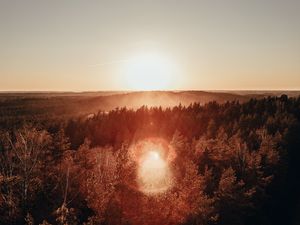 Preview wallpaper forest, horizon, sundawn, fog, sun, glare, aerial view