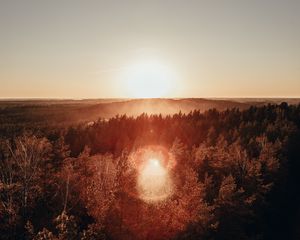 Preview wallpaper forest, horizon, sundawn, fog, sun, glare, aerial view