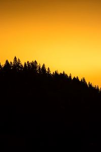 Preview wallpaper forest, horizon, sunset, silhouette