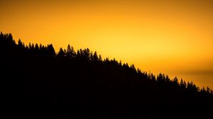 Preview wallpaper forest, horizon, sunset, silhouette