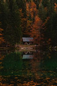 Preview wallpaper forest, house, autumn, lake, italy