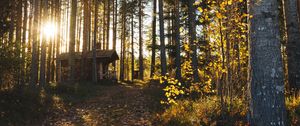 Preview wallpaper forest, house, loneliness, comfort, nature, trees