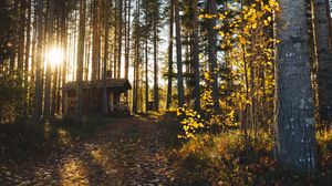 Preview wallpaper forest, house, loneliness, comfort, nature, trees
