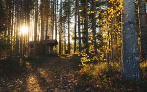 Preview wallpaper forest, house, loneliness, comfort, nature, trees