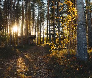 Preview wallpaper forest, house, loneliness, comfort, nature, trees