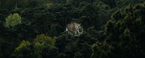 Preview wallpaper forest, house, lonely, aerial view, trees, nature