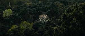 Preview wallpaper forest, house, lonely, aerial view, trees, nature