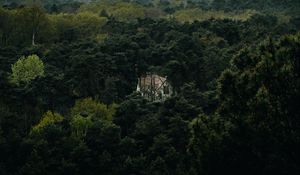 Preview wallpaper forest, house, lonely, aerial view, trees, nature