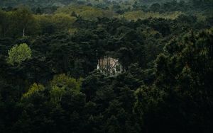 Preview wallpaper forest, house, lonely, aerial view, trees, nature