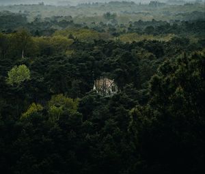 Preview wallpaper forest, house, lonely, aerial view, trees, nature