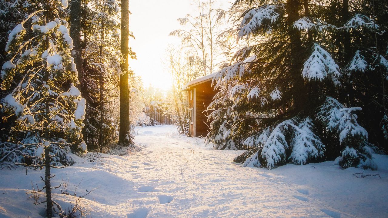 Wallpaper forest, house, snow, winter, sunlight