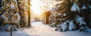 Preview wallpaper forest, house, snow, winter, sunlight