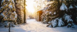 Preview wallpaper forest, house, snow, winter, sunlight