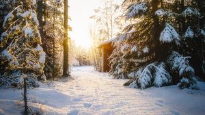 Preview wallpaper forest, house, snow, winter, sunlight