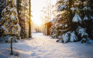 Preview wallpaper forest, house, snow, winter, sunlight