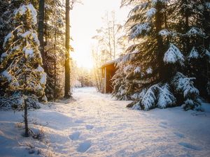 Preview wallpaper forest, house, snow, winter, sunlight