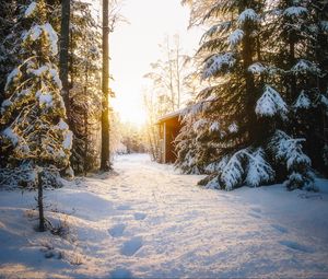 Preview wallpaper forest, house, snow, winter, sunlight