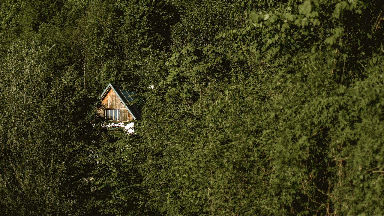 Wallpaper forest, house, trees, nature, solitude