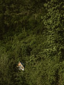 Preview wallpaper forest, house, trees, nature, solitude