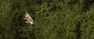 Preview wallpaper forest, house, trees, nature, solitude
