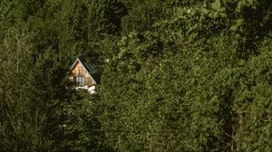 Preview wallpaper forest, house, trees, nature, solitude