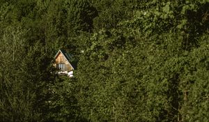 Preview wallpaper forest, house, trees, nature, solitude