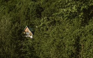 Preview wallpaper forest, house, trees, nature, solitude