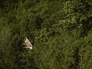 Preview wallpaper forest, house, trees, nature, solitude