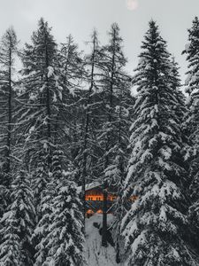 Preview wallpaper forest, house, trees, snow, nature