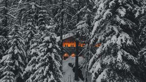 Preview wallpaper forest, house, trees, snow, nature